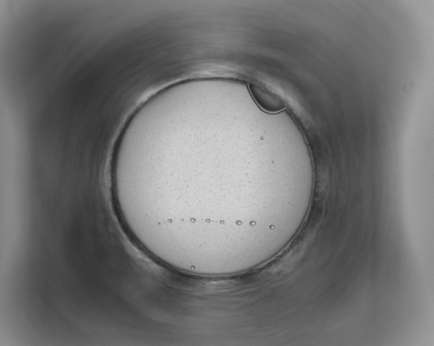 X0000112411471200909041346