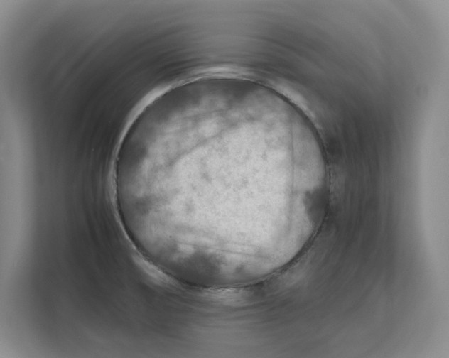 X0000112411474200909041346