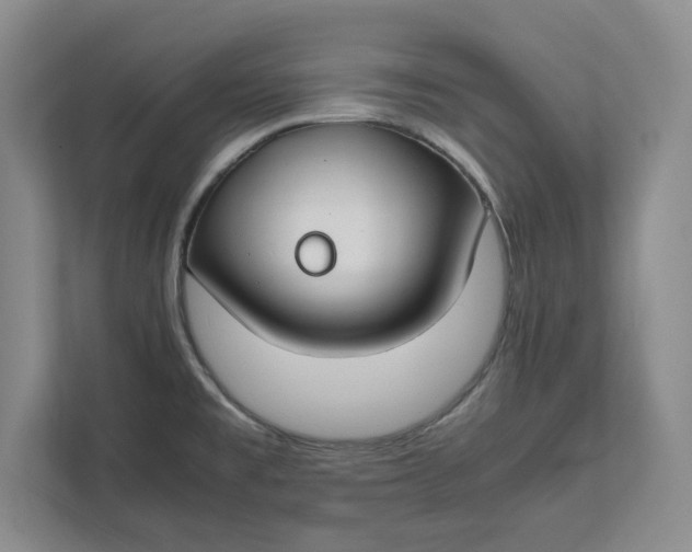 X0000112411477200909041346