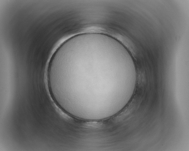 X0000112411478200909041346