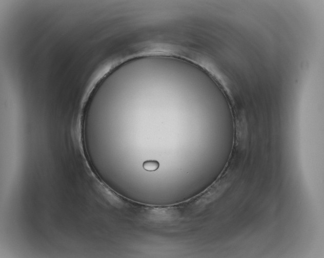 X0000112411480200909041346