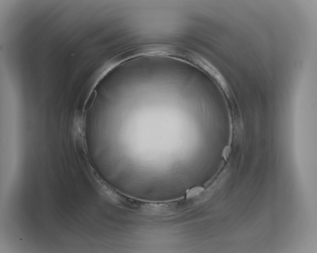 X0000112411481200909041346