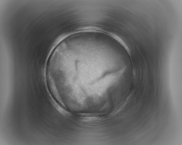 X0000112411482200909041346