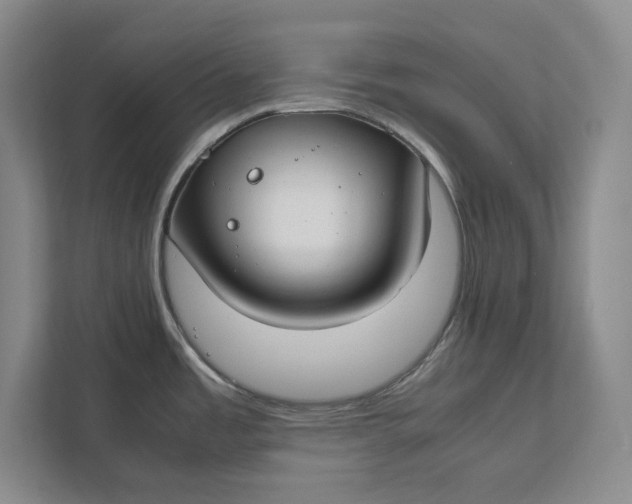 X0000112411485200909041346