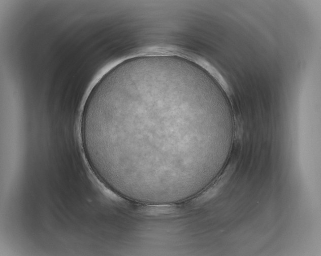 X0000112411486200909041346