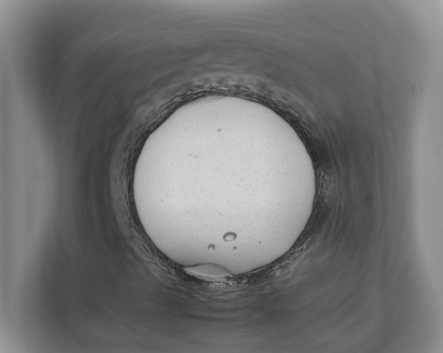 X0000112411489200909041345