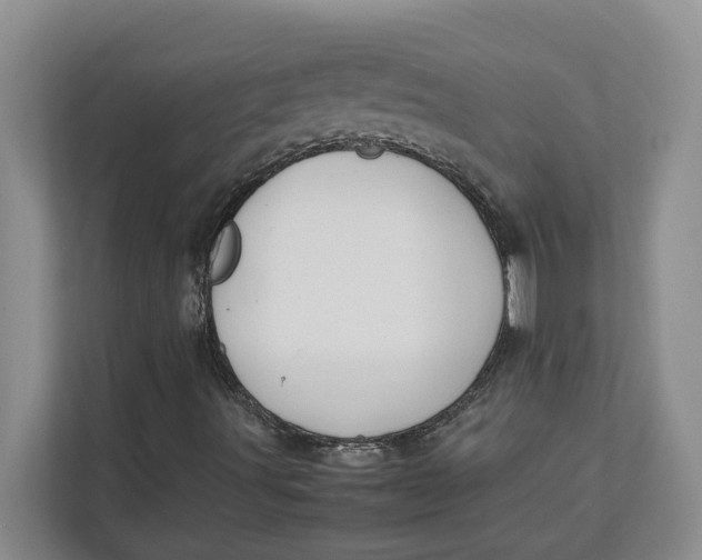 X0000112411491200909041345