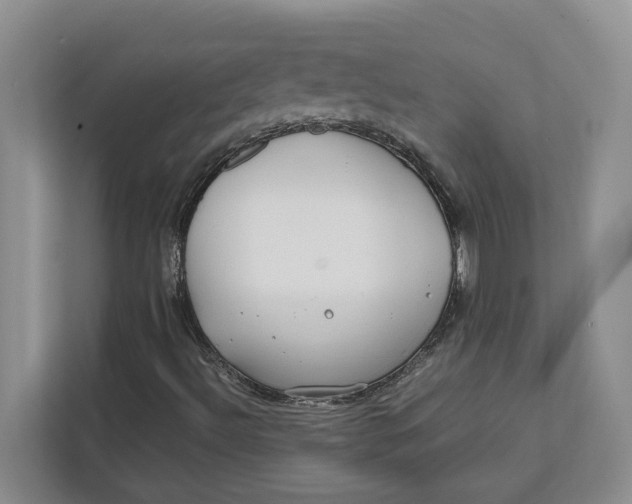 X0000112411492200909041345