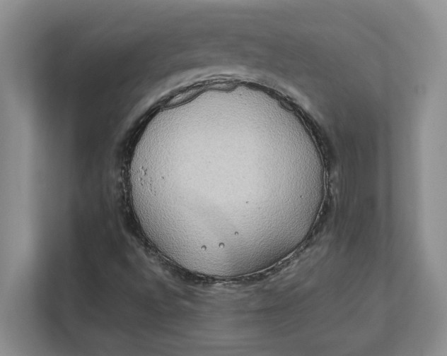 X0000112411496200909041345