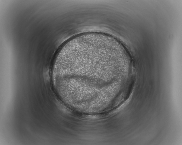 X0000112411497200909041345