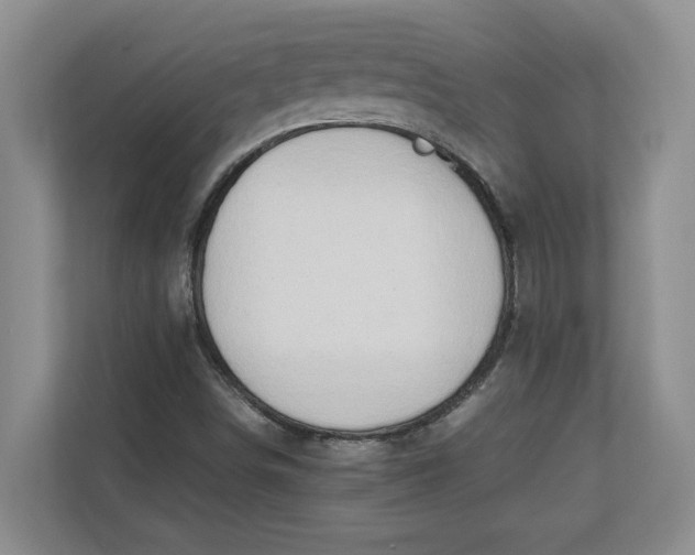 X0000112411498200909041345