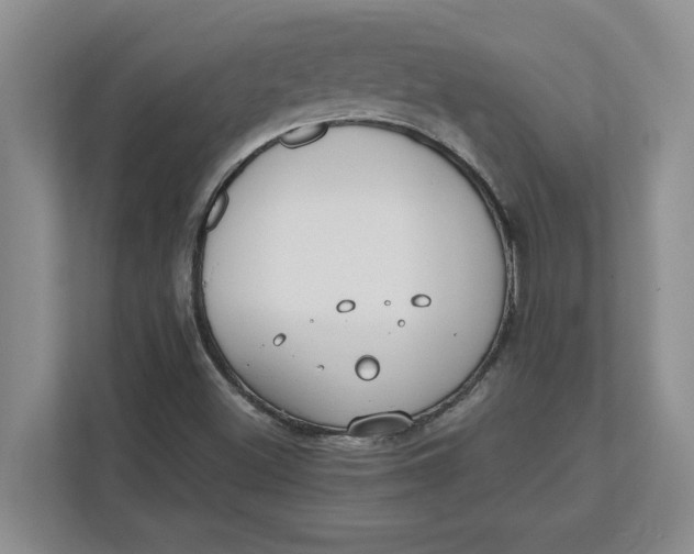 X0000112411500200909041345