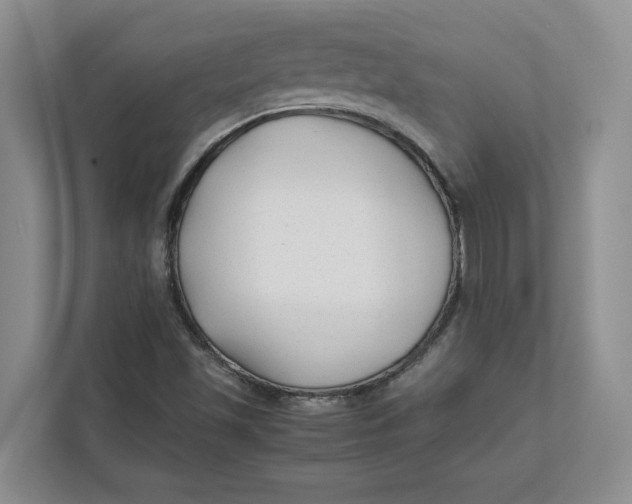 X0000112411501200909041345