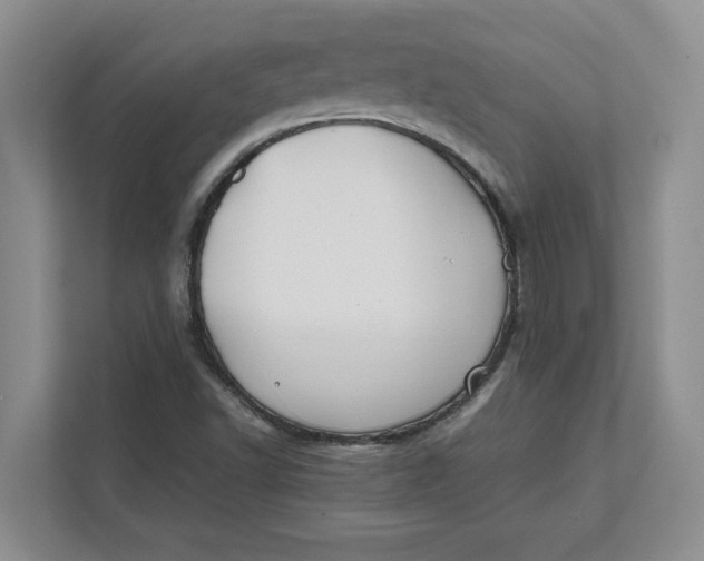 X0000112411502200909041345