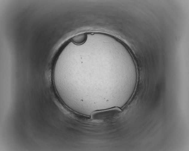 X0000112411503200909041345