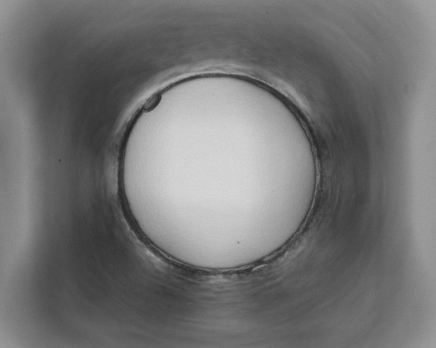 X0000112411504200909041345