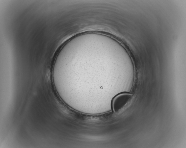 X0000112411505200909041346