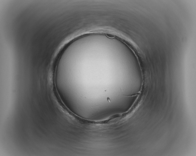 X0000112411506200909041346