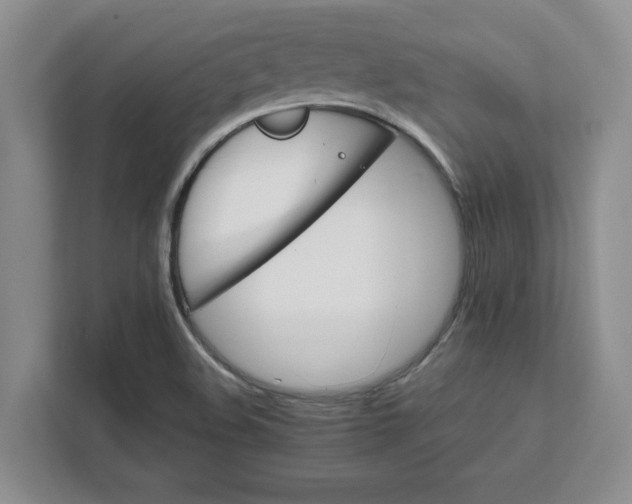 X0000112411508200909041346