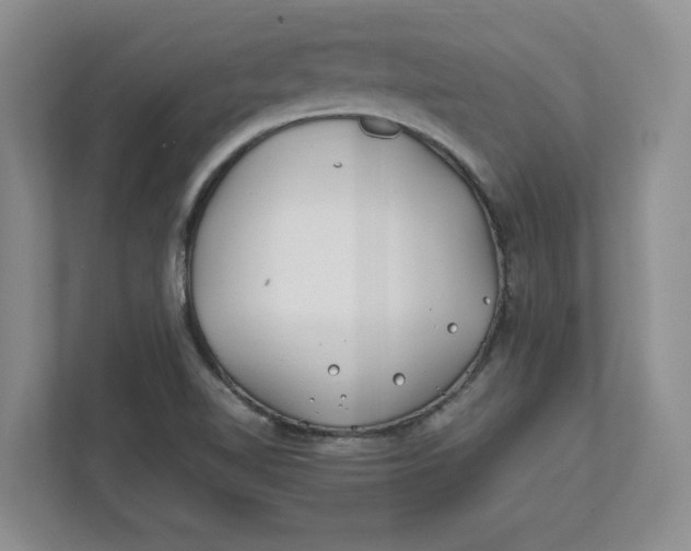 X0000112411510200909041346