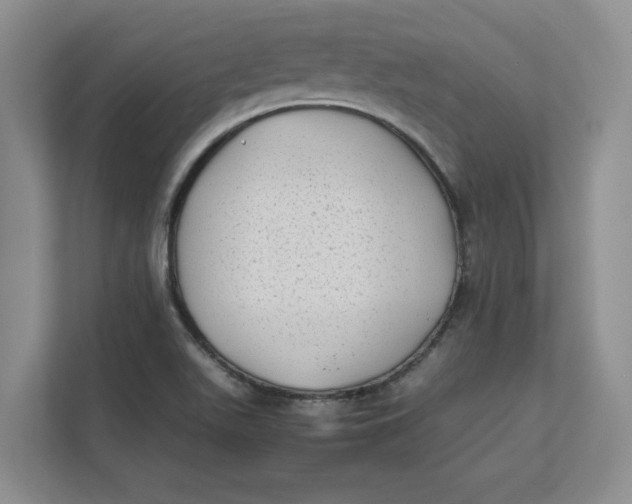 X0000112411511200909041346