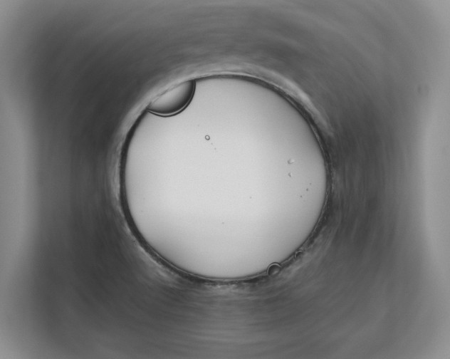 X0000112411512200909041346