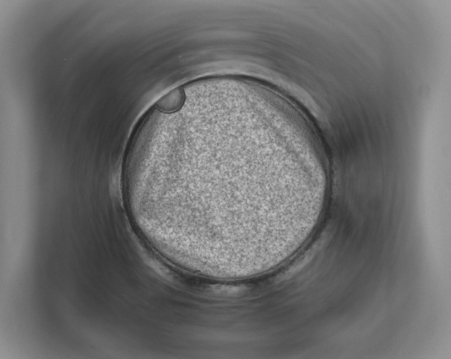 X0000112411513200909041346