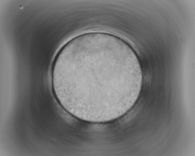 X0000112411514200909041346