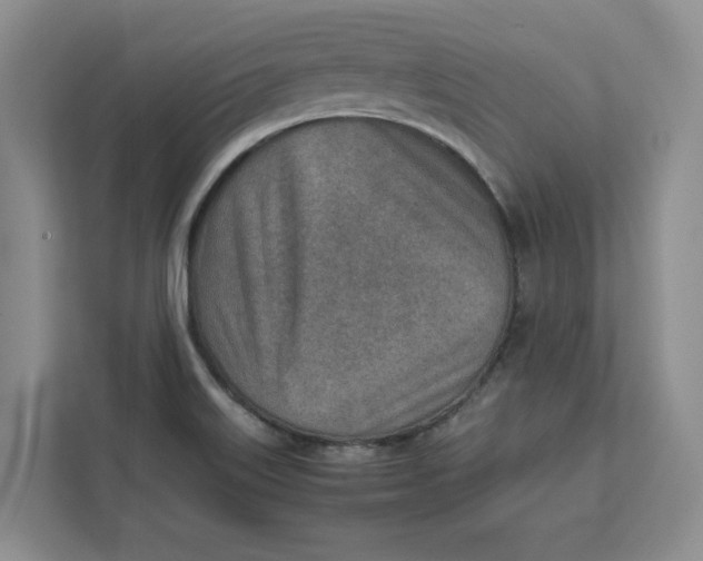 X0000112411515200909041346