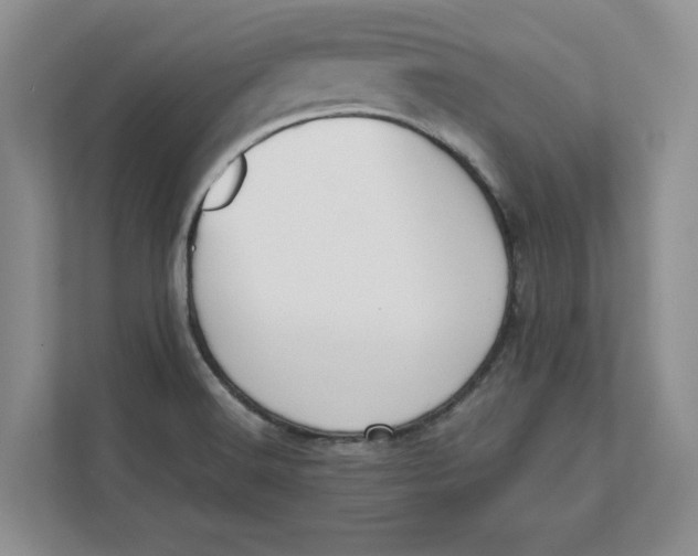 X0000112411516200909041346