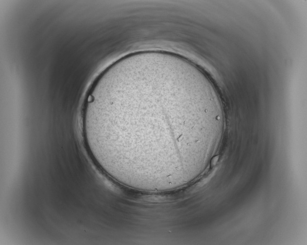 X0000112411517200909041346