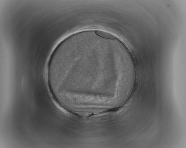 X0000112411519200909041346