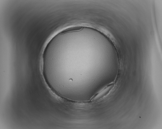 X0000112411520200909041346