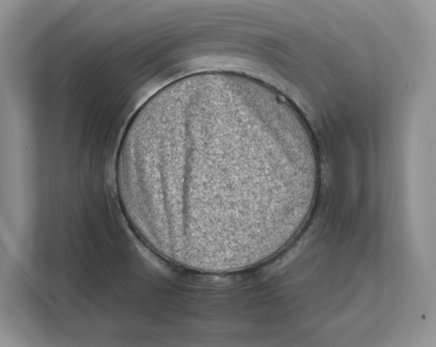 X0000112411521200909041346