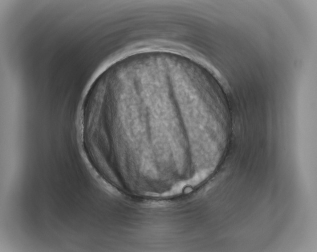 X0000112411522200909041346