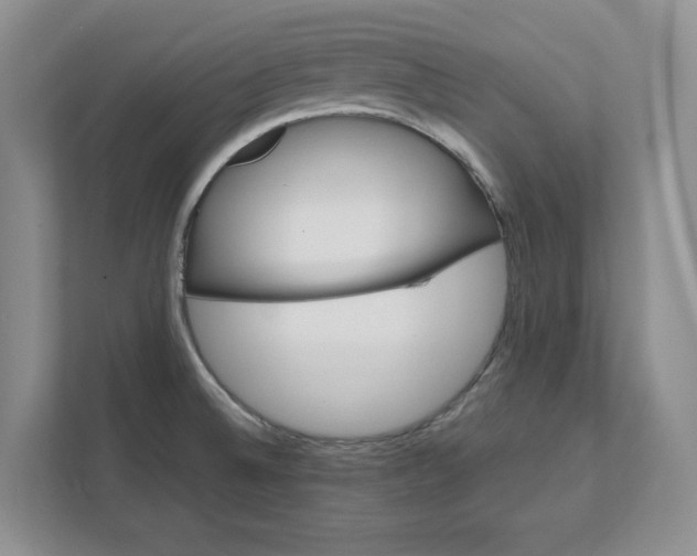 X0000112411524200909041346