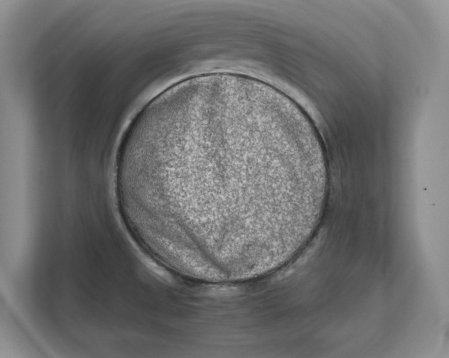 X0000112411525200909041346