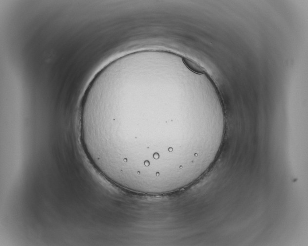 X0000112411526200909041346