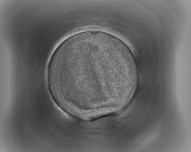 X0000112411527200909041346