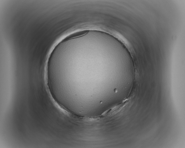 X0000112411528200909041346