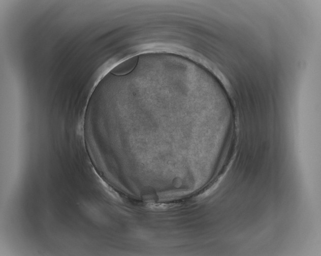 X0000112411529200909041346