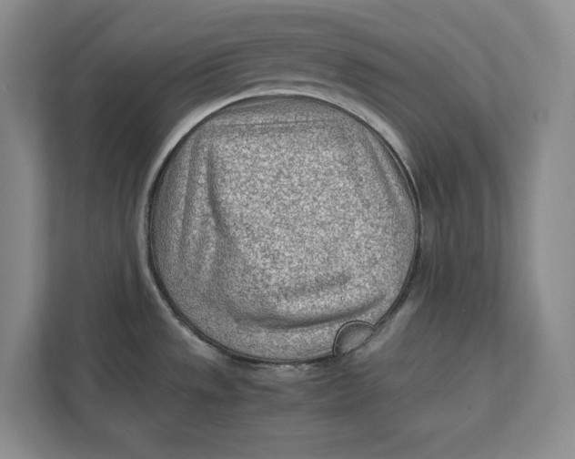 X0000112411533200909041346