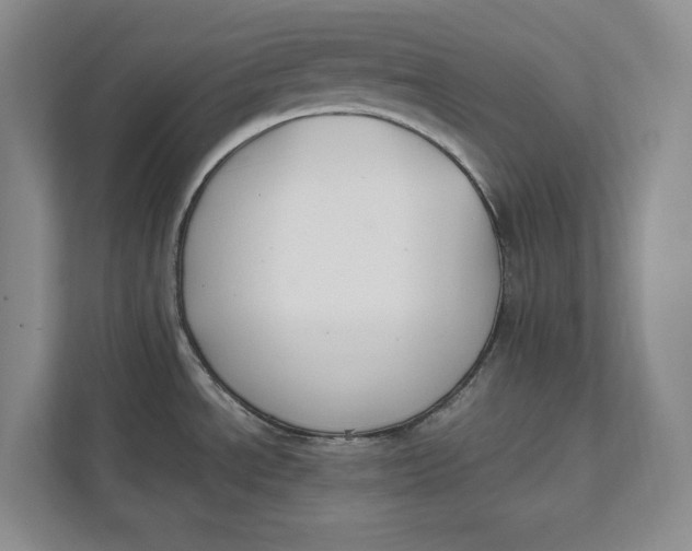 X0000112411534200909041346