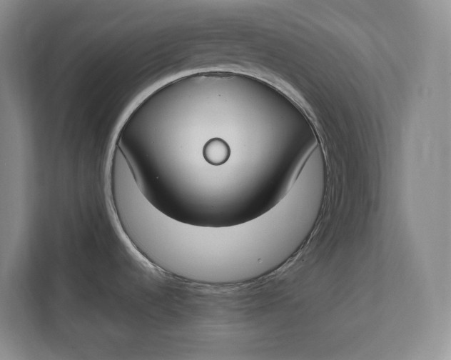 X0000112411536200909041346