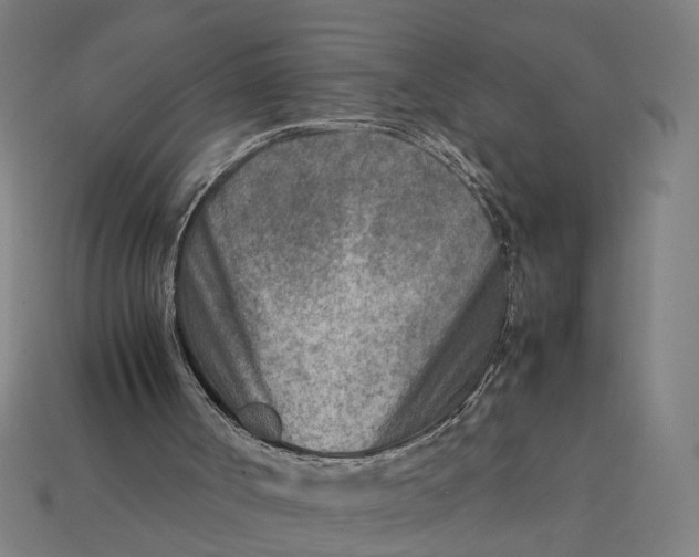 X0000112410002200909110959