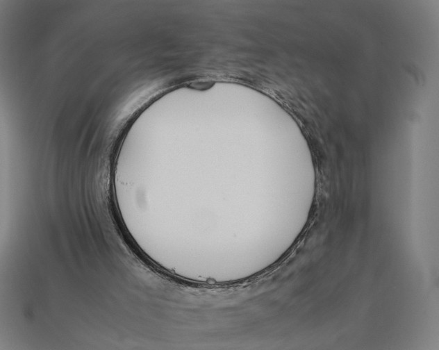 X0000112410005200909110959