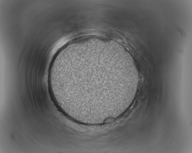 X0000112410006200909110959