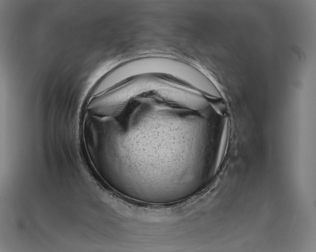 X0000112410008200909110959