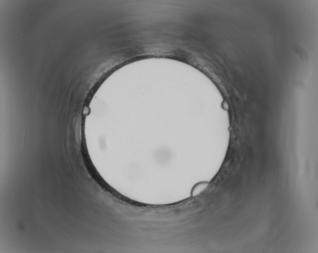 X0000112410011200909110959
