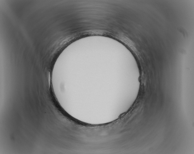 X0000112410013200909110959